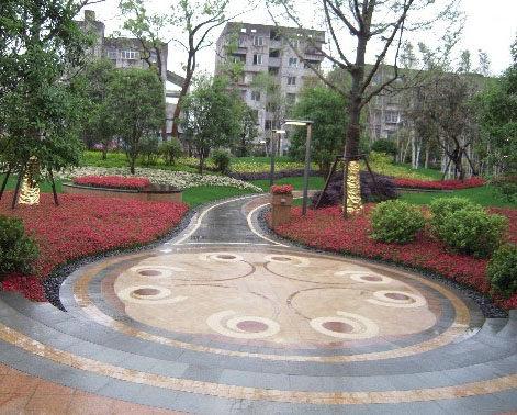 經典案例